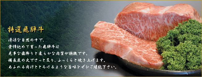 ˋXe[LX@gm -Ђ-